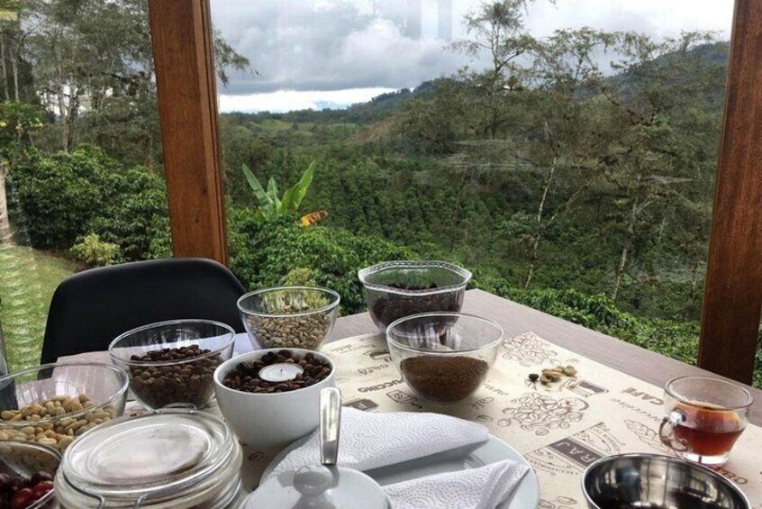 Coffee & Cacao Experience from Quito