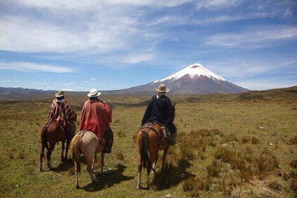 4 Day Private Tour From Volcanoes route to the Amazon Rainforest