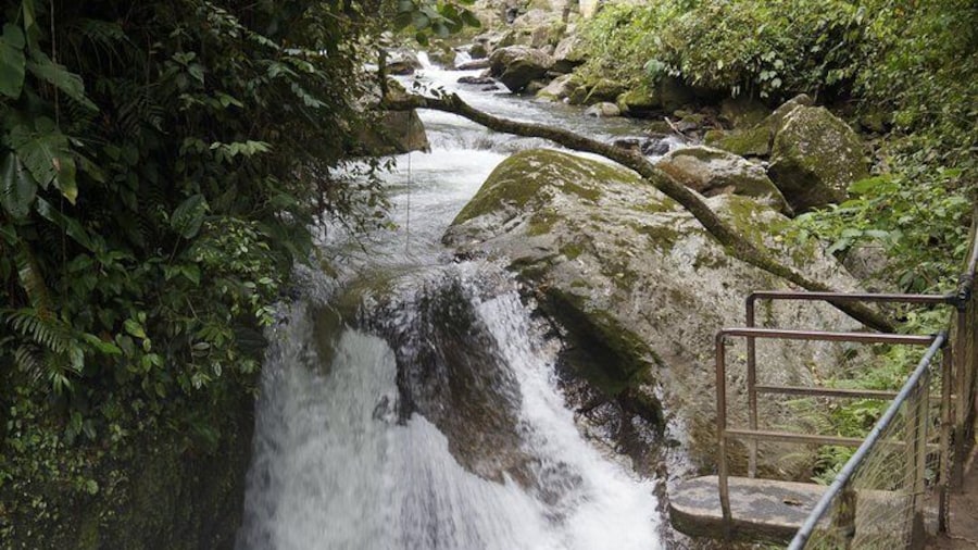 Mindo Waterfalls