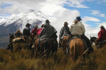 3-Day Adventure: Quito, Cotopaxi, Quilotoa, Baños, Jungle, Quito