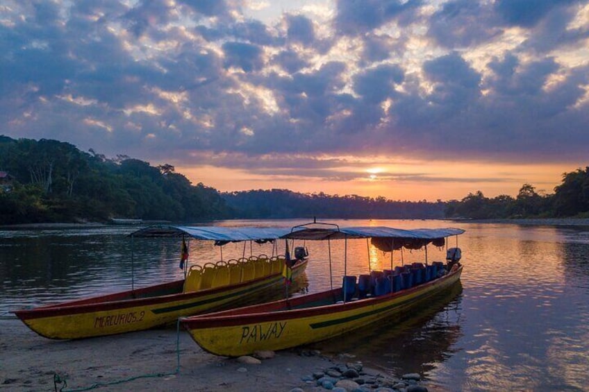5 Days Embark on an Epic Amazonian Adventure from Quito, Ecuador