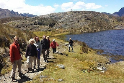 Full-Day Cajas National Park Tour with Small-Group