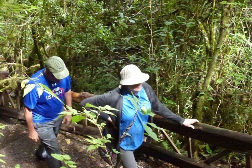 In the path to the waterfall