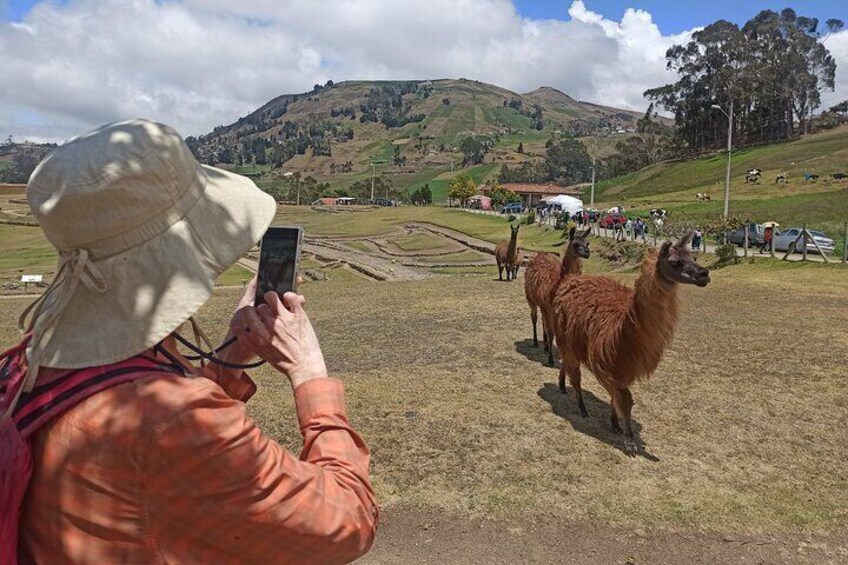 Full-Day Ingapirca Ruins and Gualaceo & Chordeleg Tour from Cuenca