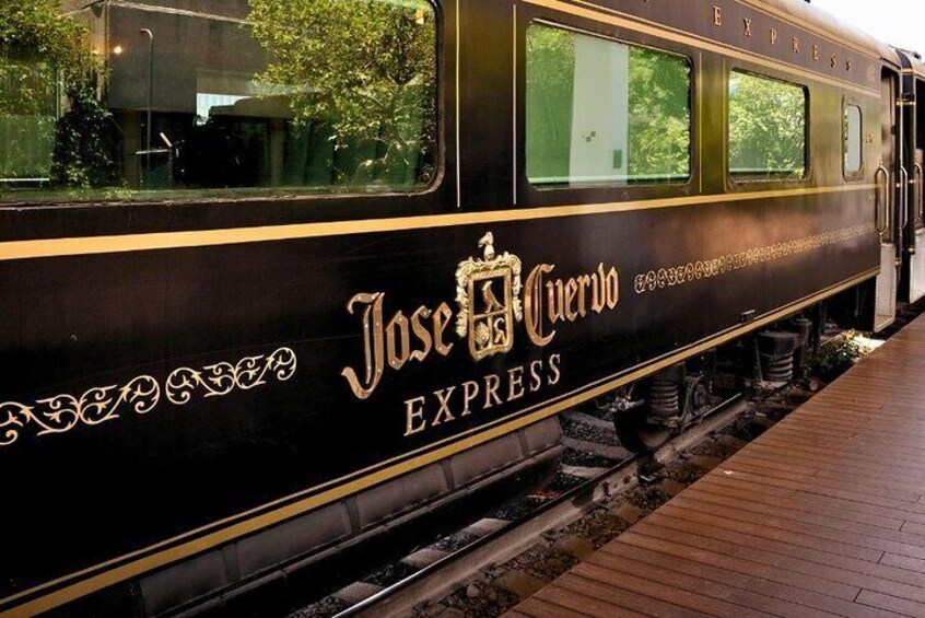 Tequila Day Trip from Guadalajara with Jose Cuervo Express Train