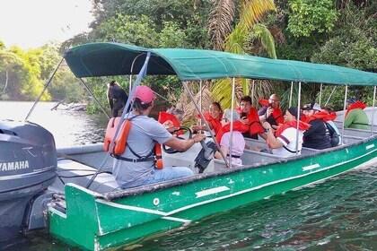 Monkey Island experience in the Panama Canal (Gatun Lake)