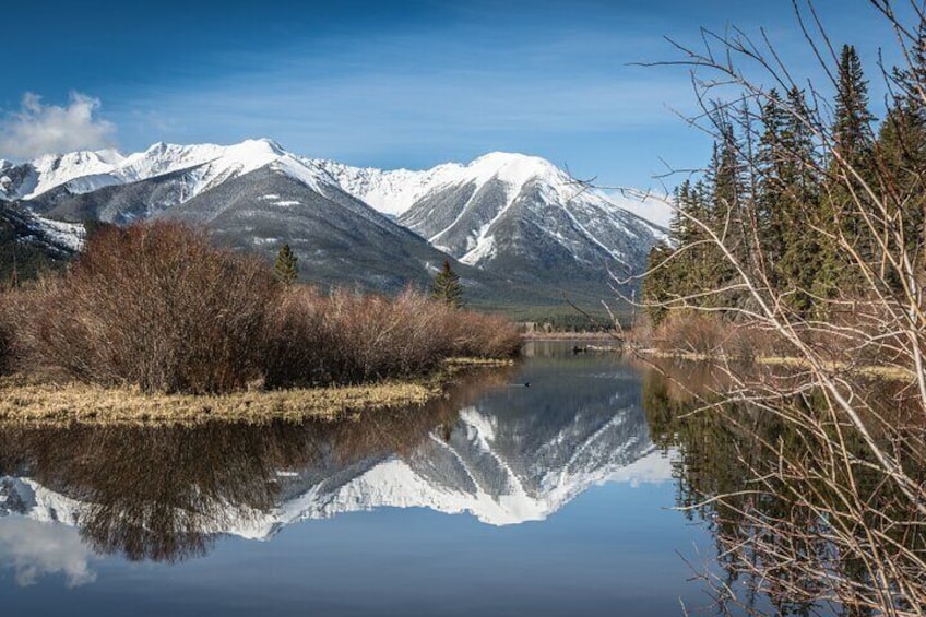 Caribou - Discover the Best of the Rockies (8-Days)