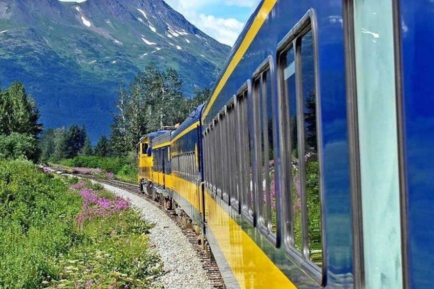 Alaska Railroad Anchorage to Seward One Way
