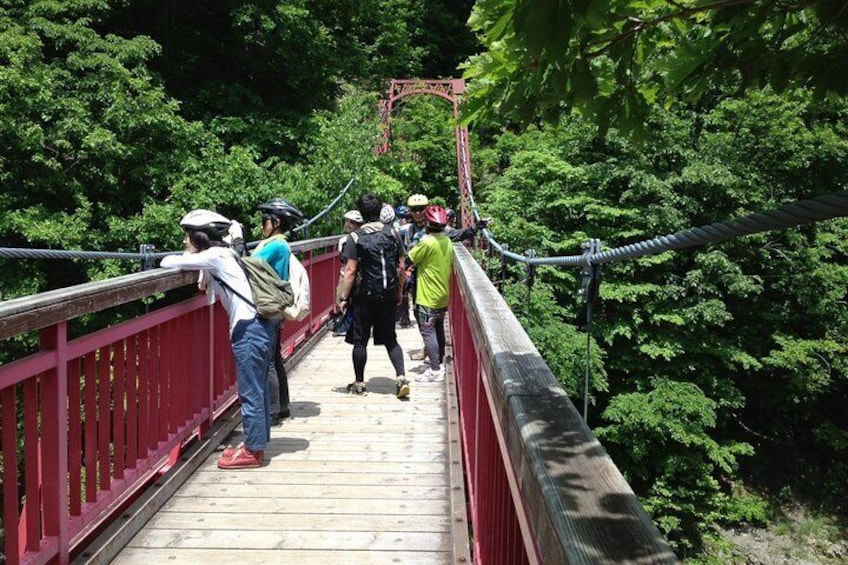 Mountain Bike Tour from Sapporo Including Hoheikyo Onsen and Lunch