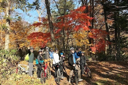 Nopporo Forest Mountain Bike Tour from Sapporo, presenting a retro Cycle ca...