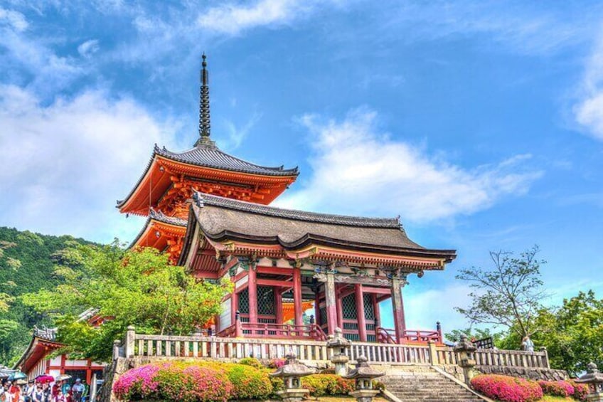 1-Full Day Private Experience of Culture and History of Kyoto for First timersrs