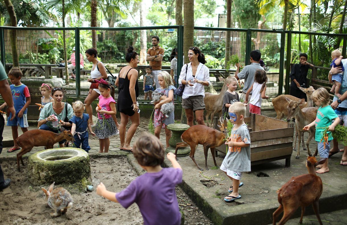 Bali Zoo For Domestic