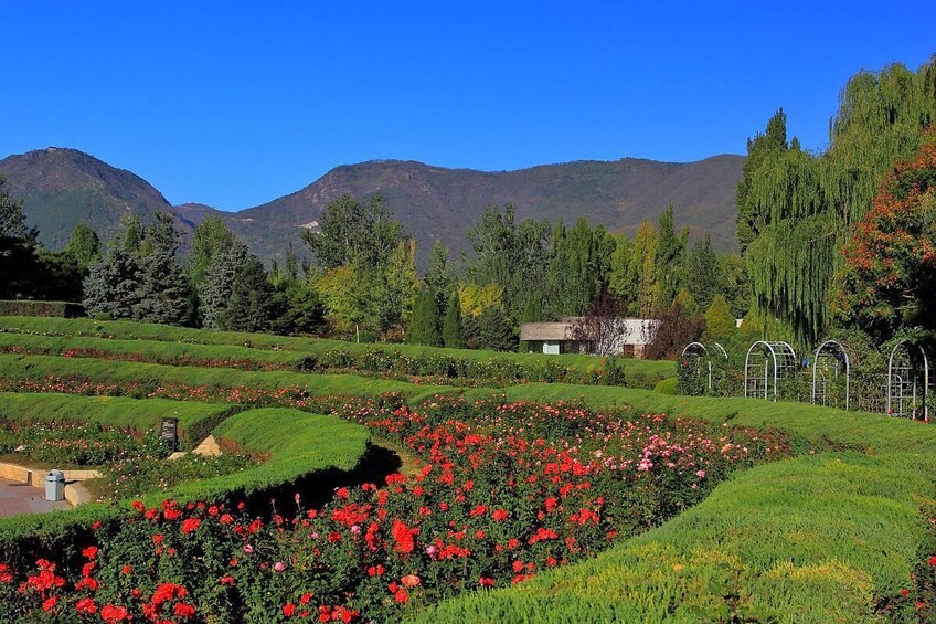 Beijing Botanical Garden Admission Ticket