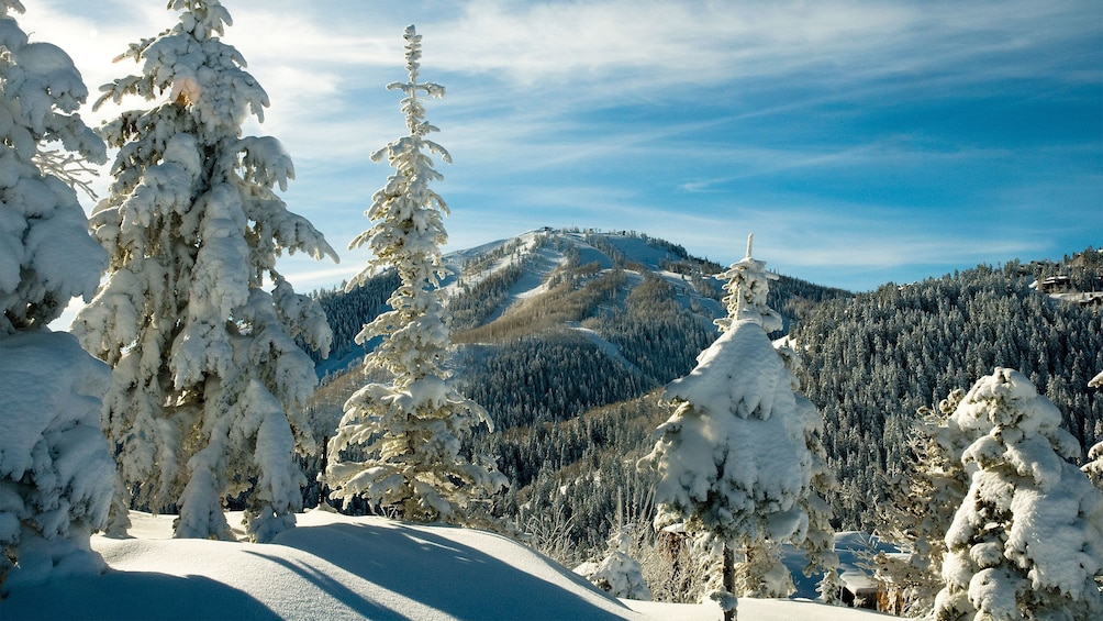 Clear day for skiing at the slopes in Deer Valley