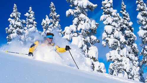 แพ็คเกจเช่าสกี Snowbasin & Powder Mountain Preferred - ผู้ใหญ่ & จูเนียร์