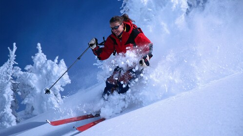 Alta & Snowbird Preferred Ski Rental Package - Vuxen & Junior