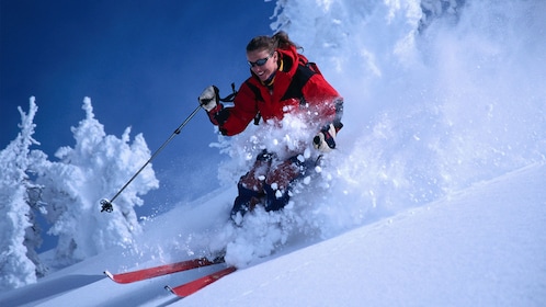 Alta & Snowbird Preferred skiverhuurpakket - volwassenen en junioren