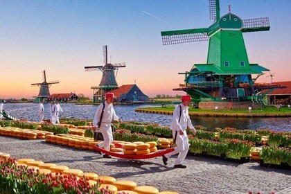 Alkmaar Cheese Market, & Zaanse Schans Guided Day Tour