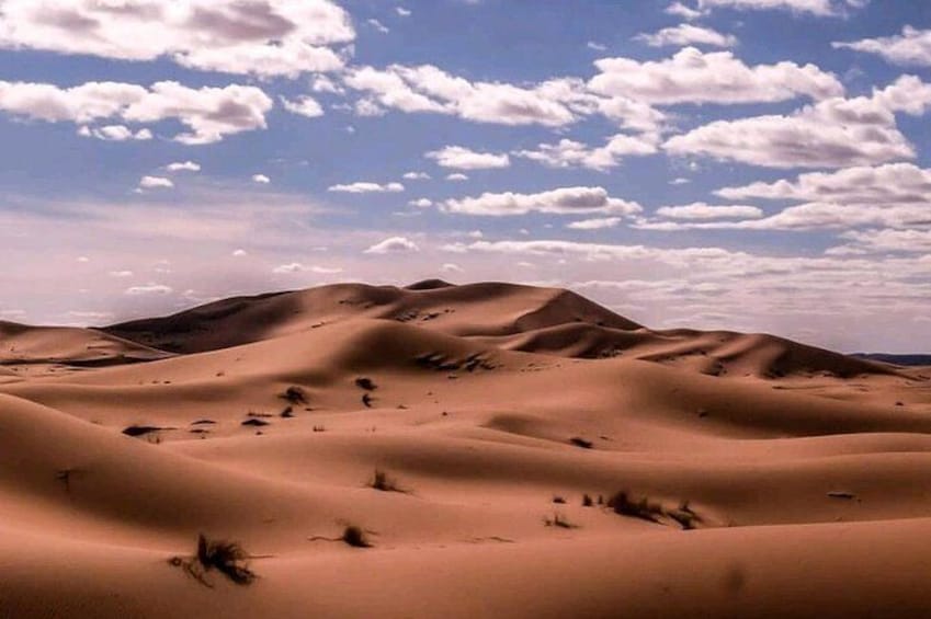 Camel Trekking Excursion Overnight Desert Camp Merzouga Desert Erg Chebbi Dunes