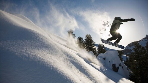 Paquete de alquiler de tablas de snowboard Alta y Snowbird - Adulto y Junio...