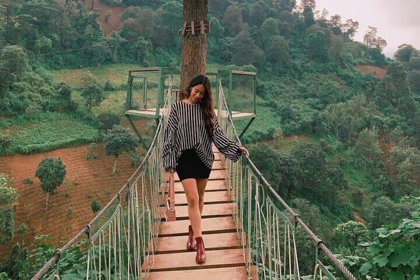 Visit an Avocado Plantation + The Highlights of Antigua - Private Tour