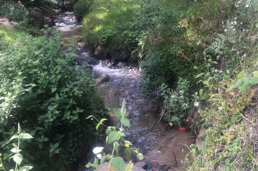 Bubbling creek