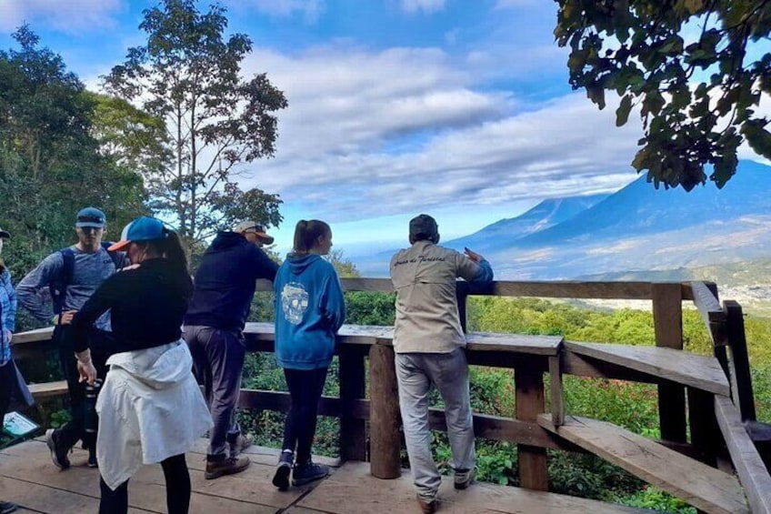 Day Tour to Pacaya Volcano from Antigua Guatemala on Private Vehicle