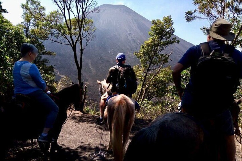 Day Tour to Pacaya Volcano from Antigua Guatemala on Private Vehicle