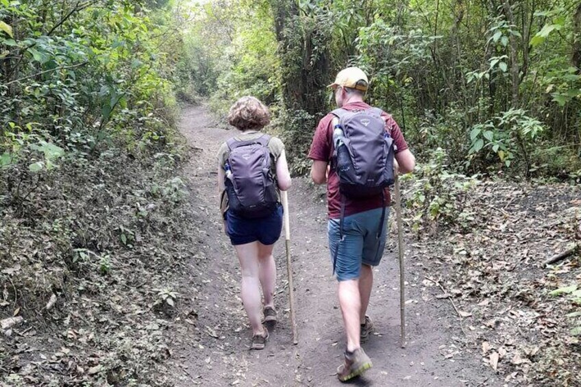 Day Tour to Pacaya Volcano from Antigua Guatemala on Private Vehicle