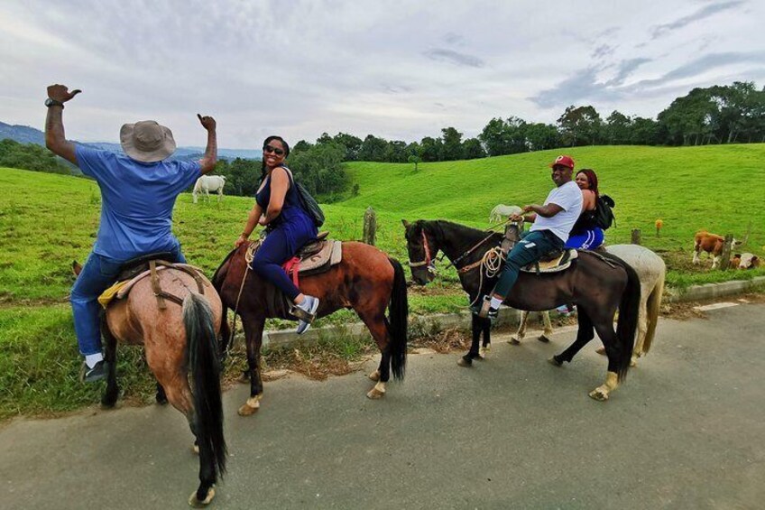 Private Coffee Farm & Horseback Riding Tour: All in one great day