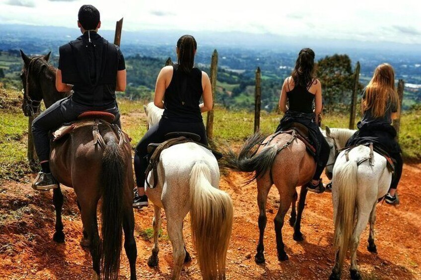 Private Coffee Farm & Horseback Riding Tour: All in one great day