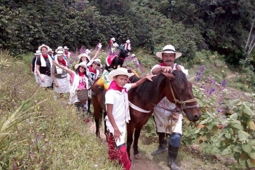 Coffee Tour In Horse Riding In Medellin