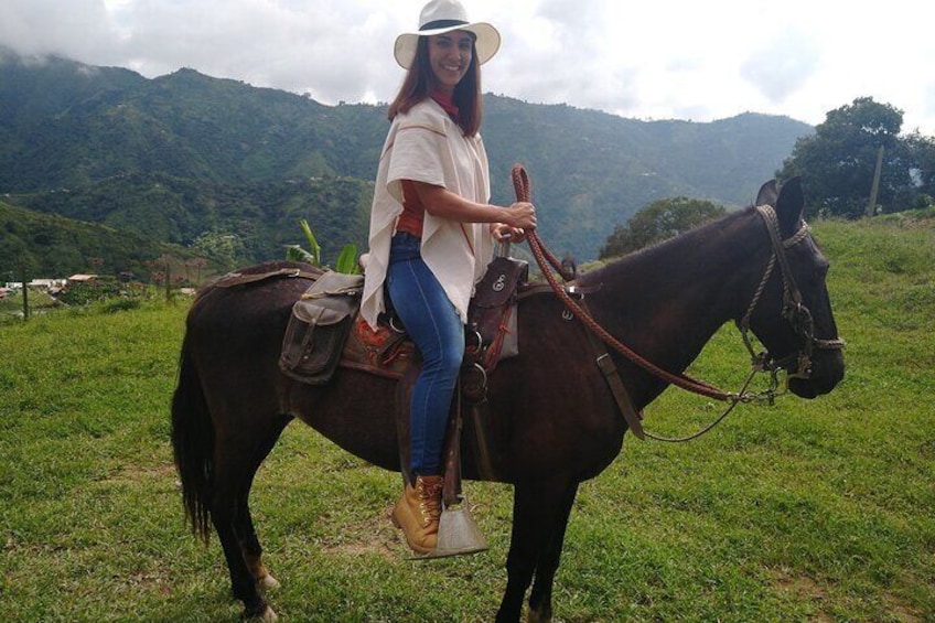 Coffee Tour In Horse Riding In Medellin