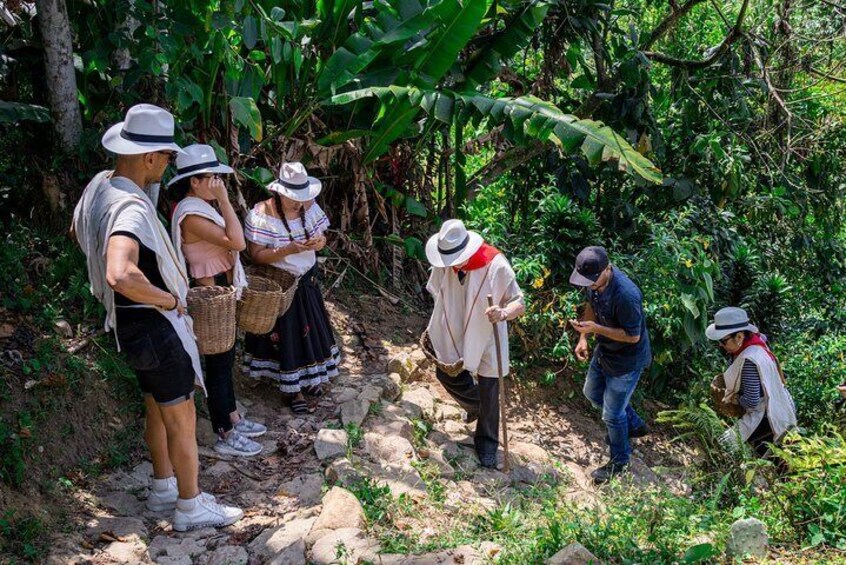 Coffee Tour In Horse Riding In Medellin