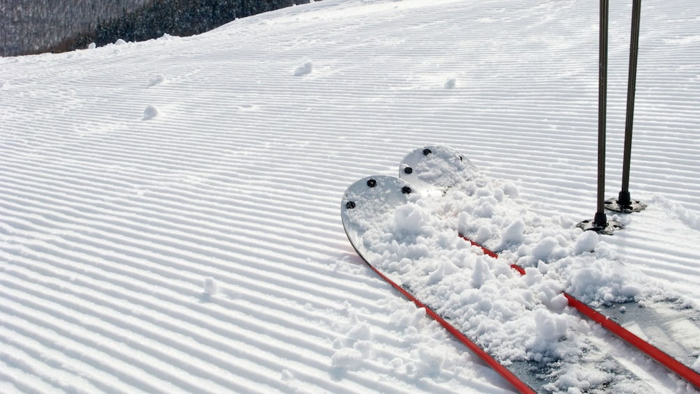 Fresh coat of snow covers a pair of skis