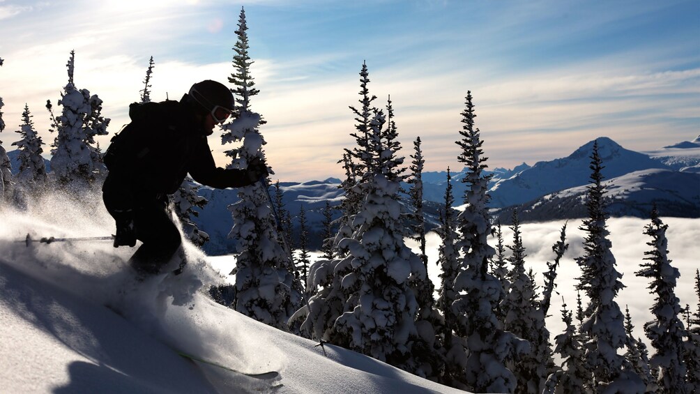 Skier descending the slopes of Banff