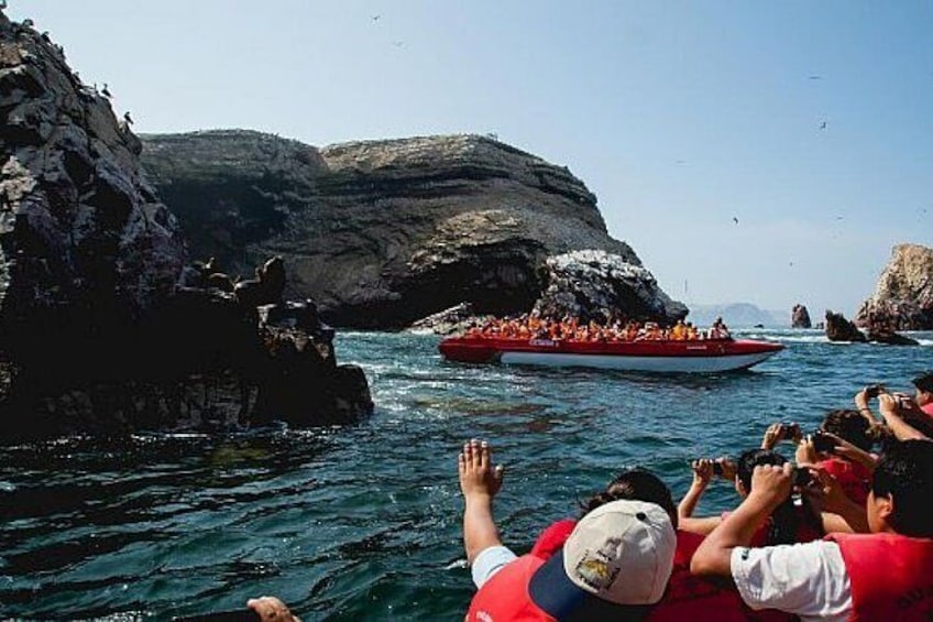 Ballestas Island - PARACAS