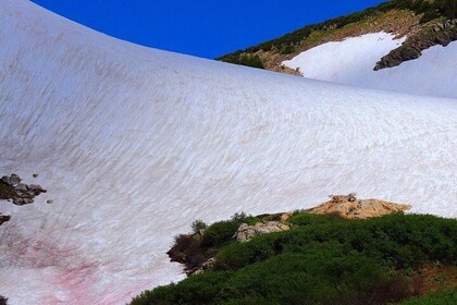 Glacier Hiking & Geothermal Cave Pools Tour