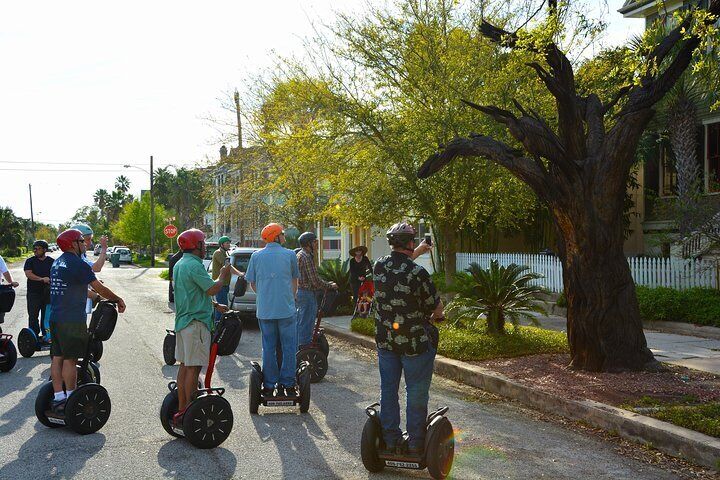 Galveston Tree Carvings Segway Tour