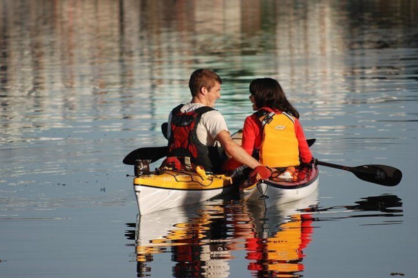 Harbour Kayak Tour