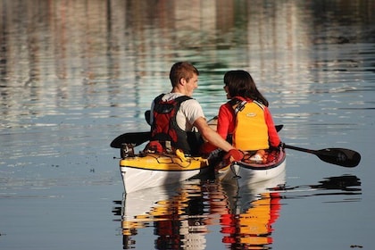 Victoria Harbour Kayak Tour
