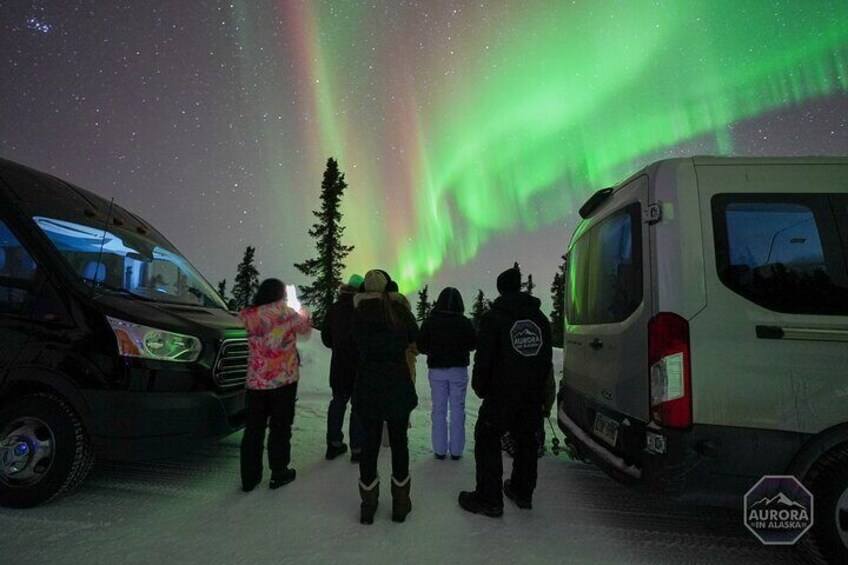 When the aurora paints the sky, the world stands still.