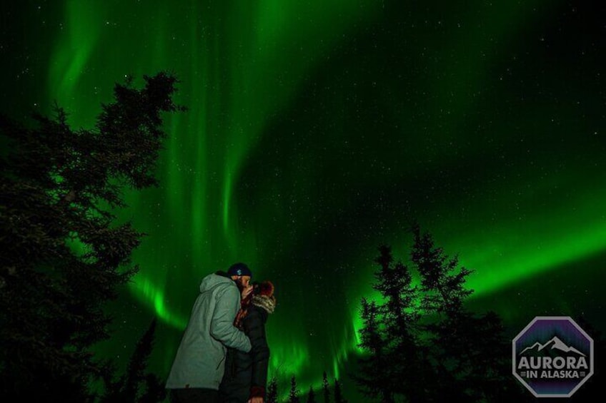 Incredible Aurora Viewing Adventure