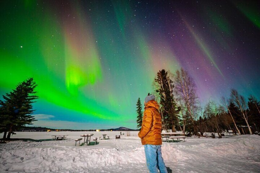 Incredible Aurora Viewing Adventure