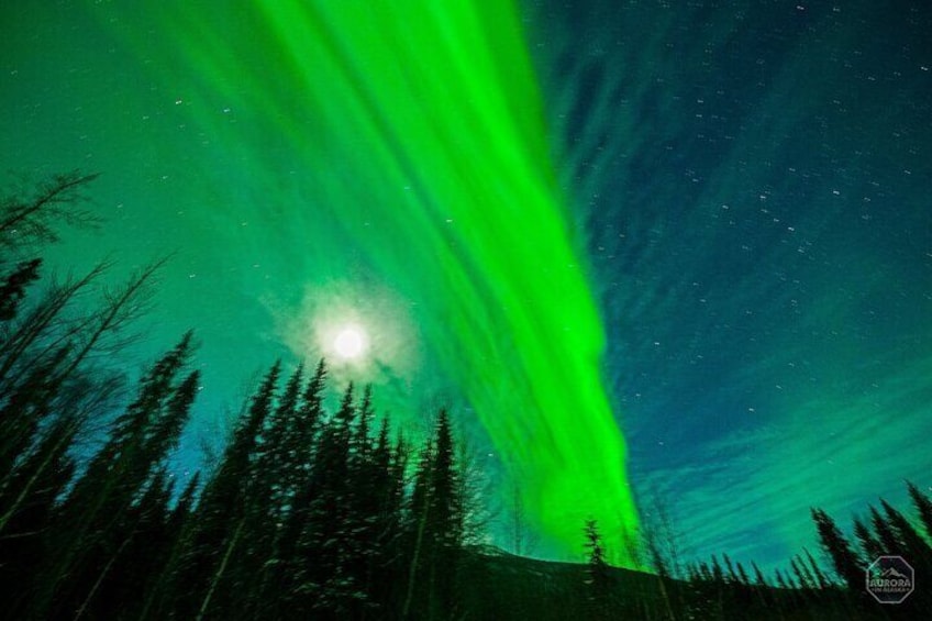 Incredible Aurora Viewing Adventure