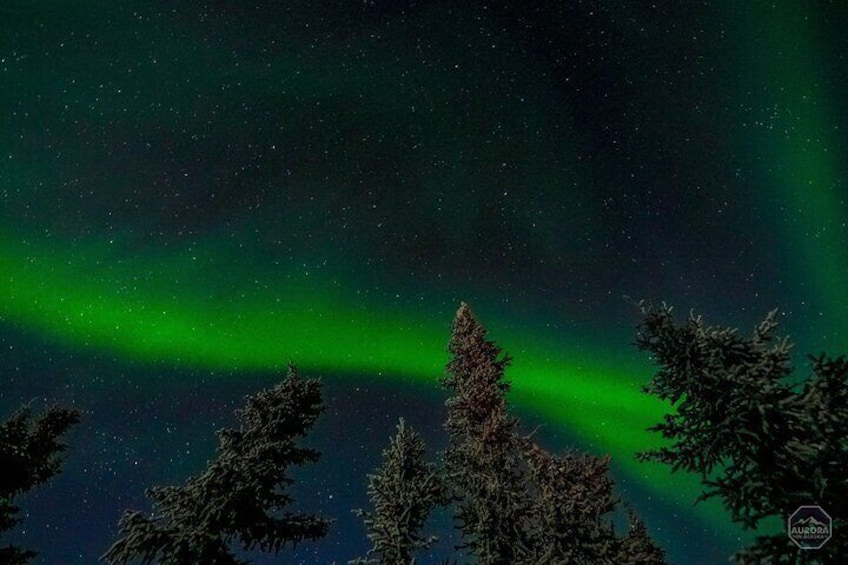 Incredible Aurora Viewing Adventure