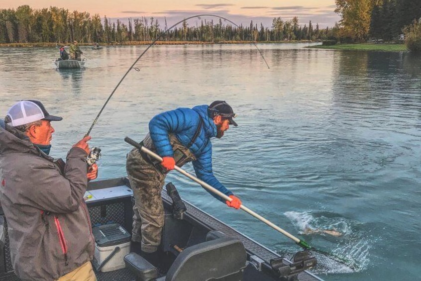Kenai River Fall Fishing for Silver Salmon (Coho)