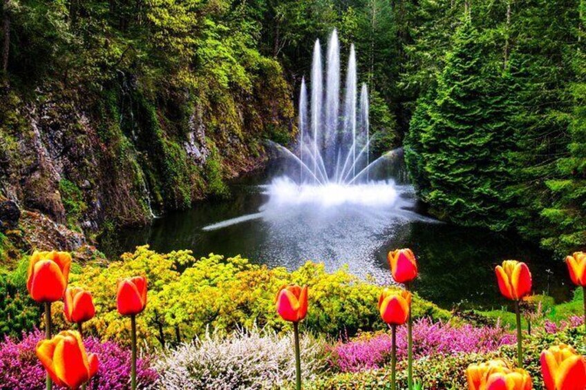 Show item 1 of 13. Private Tour Countryside Roads to Butchart Gardens and City Tour