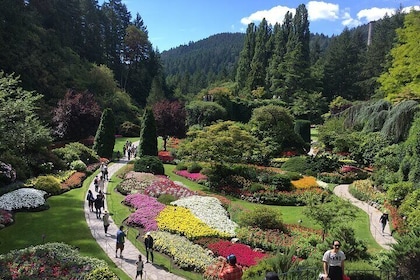 Private Tour Countryside Drive Butchart Gardens & Victoria- 5 hrs