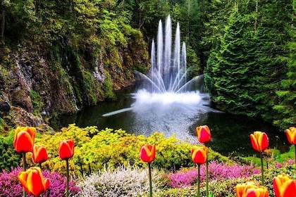 Private Tour Countryside Roads to Butchart Gardens & City - 5 hrs